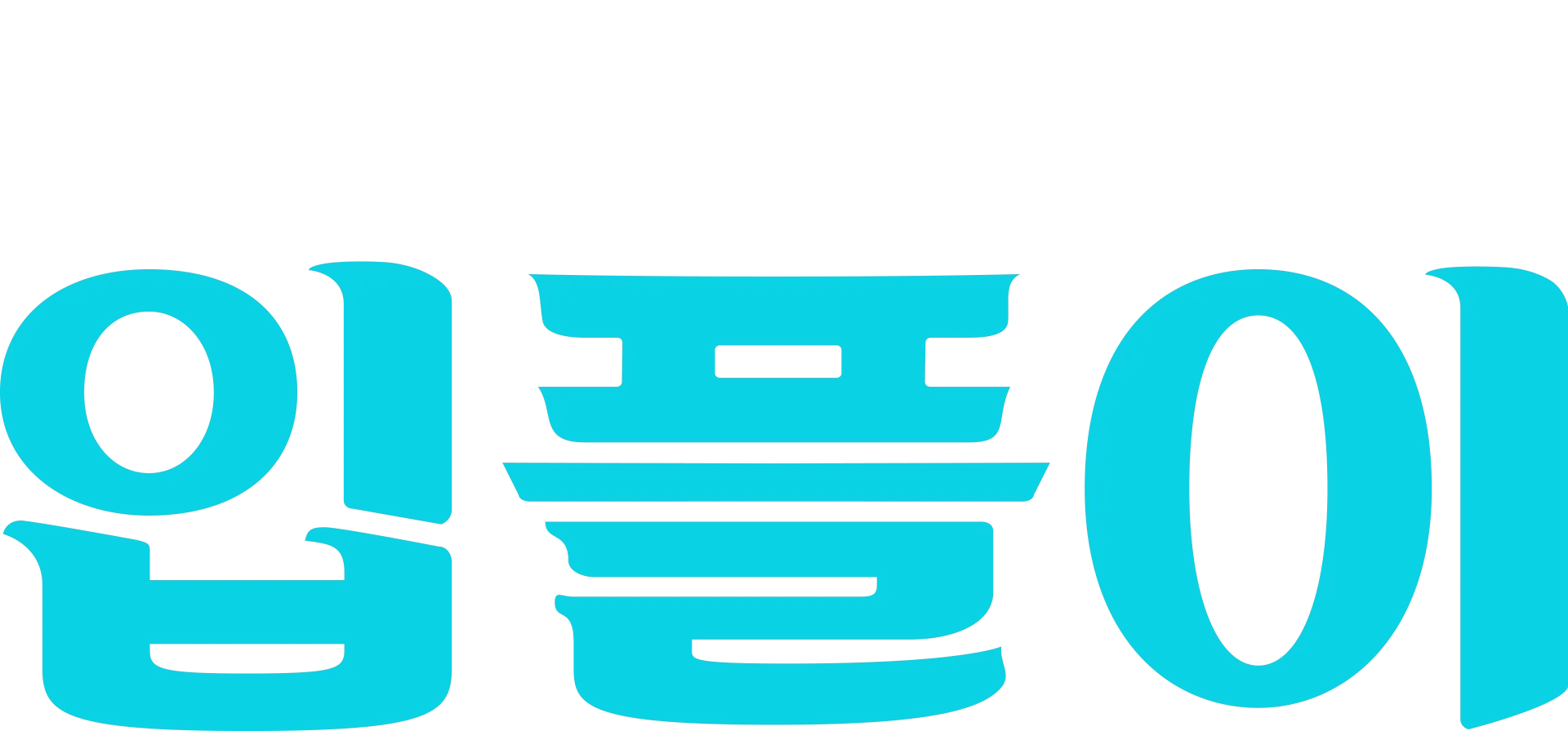 디플의 입플이