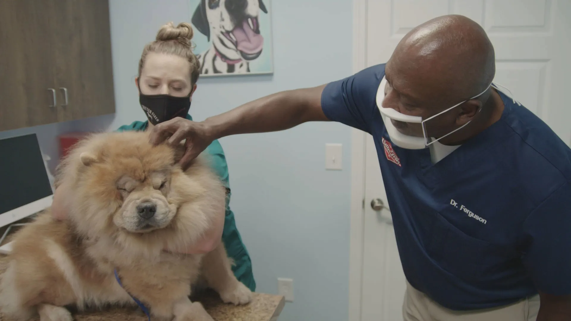 thumbnail - S4:E3 Cone of Shame Hall of Fame