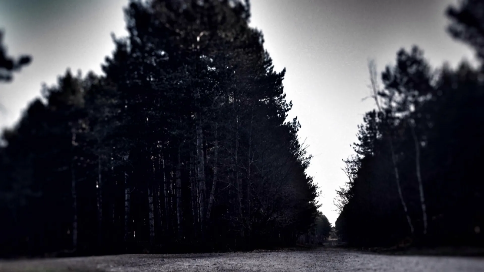 thumbnail - S6:E8 The Rendlesham Forest Incident