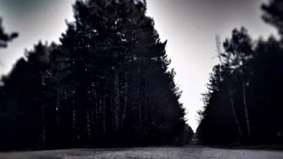 thumbnail - S6:E8 The Rendlesham Forest Incident