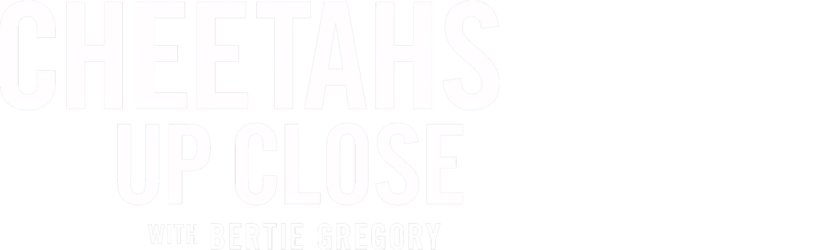 Cheetahs Up Close with Bertie Gregory