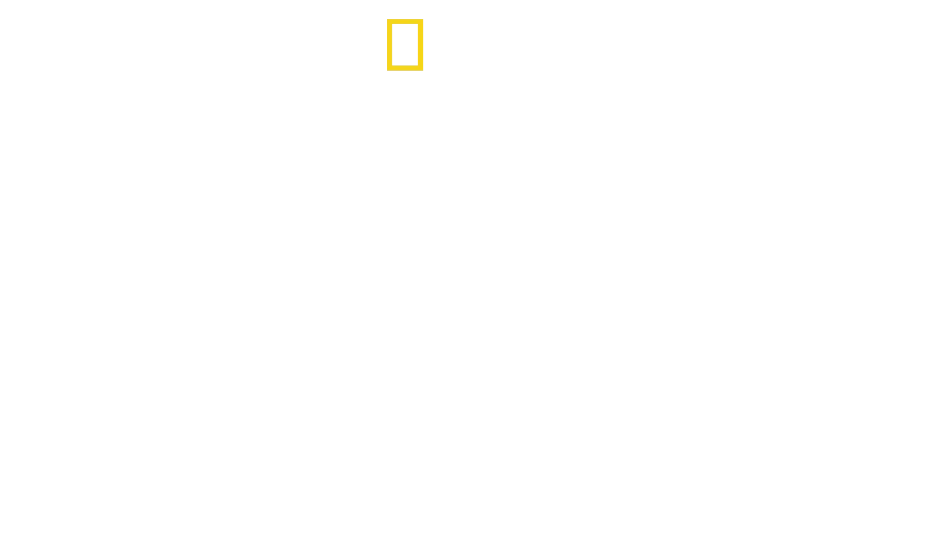 Genghis Khan: The Secret History of the Mongols