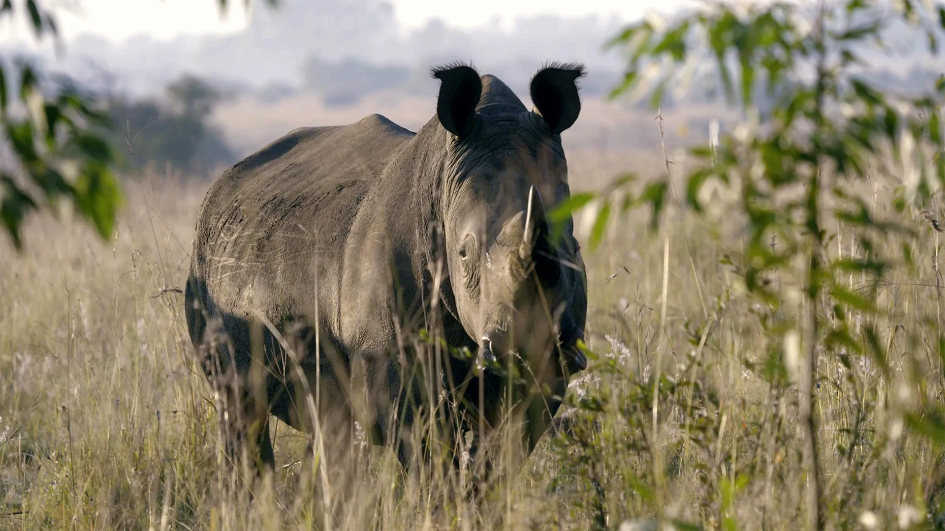 thumbnail - S1:E7 South Africa