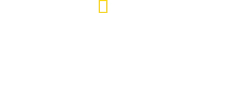 David Blaine: Nicht nachmachen!