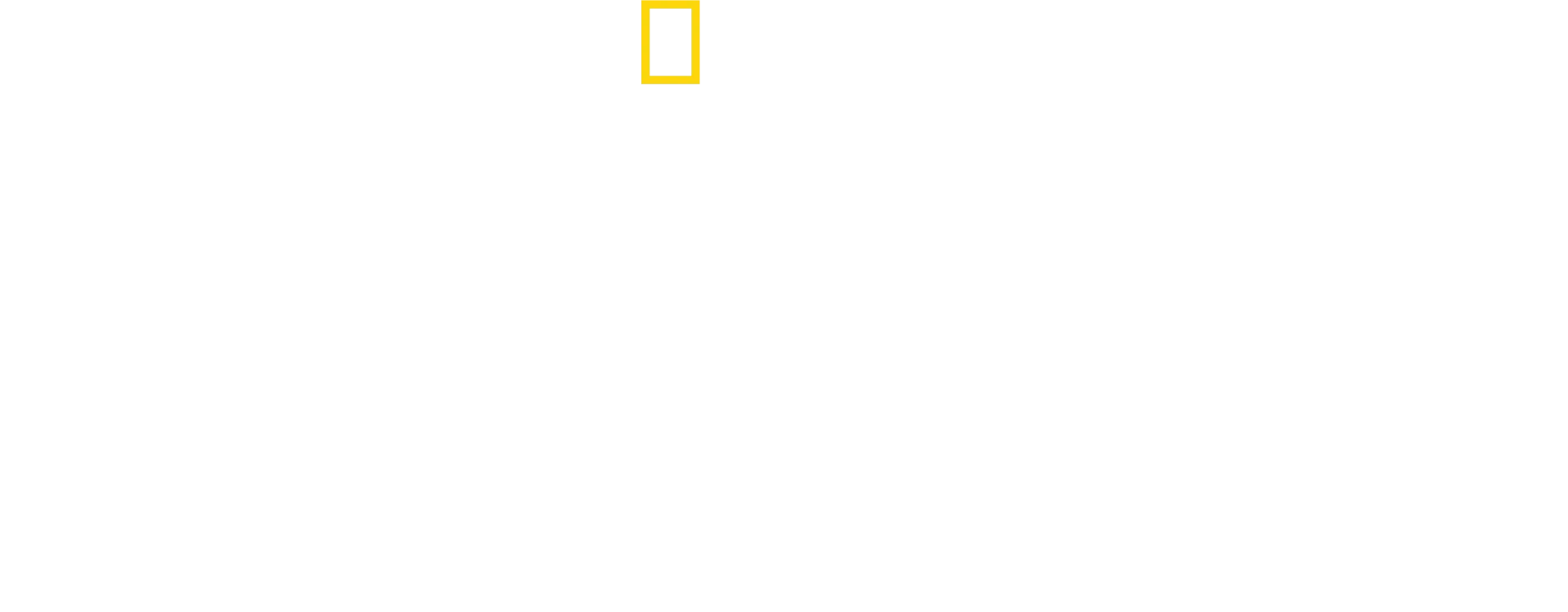 David Blaine: Nicht nachmachen!