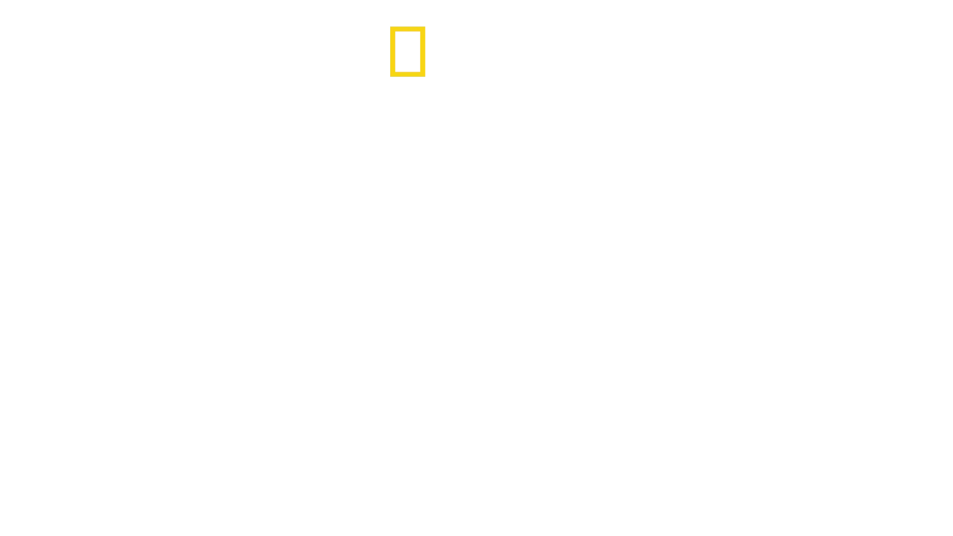 David Blaine: Taikuuden takana