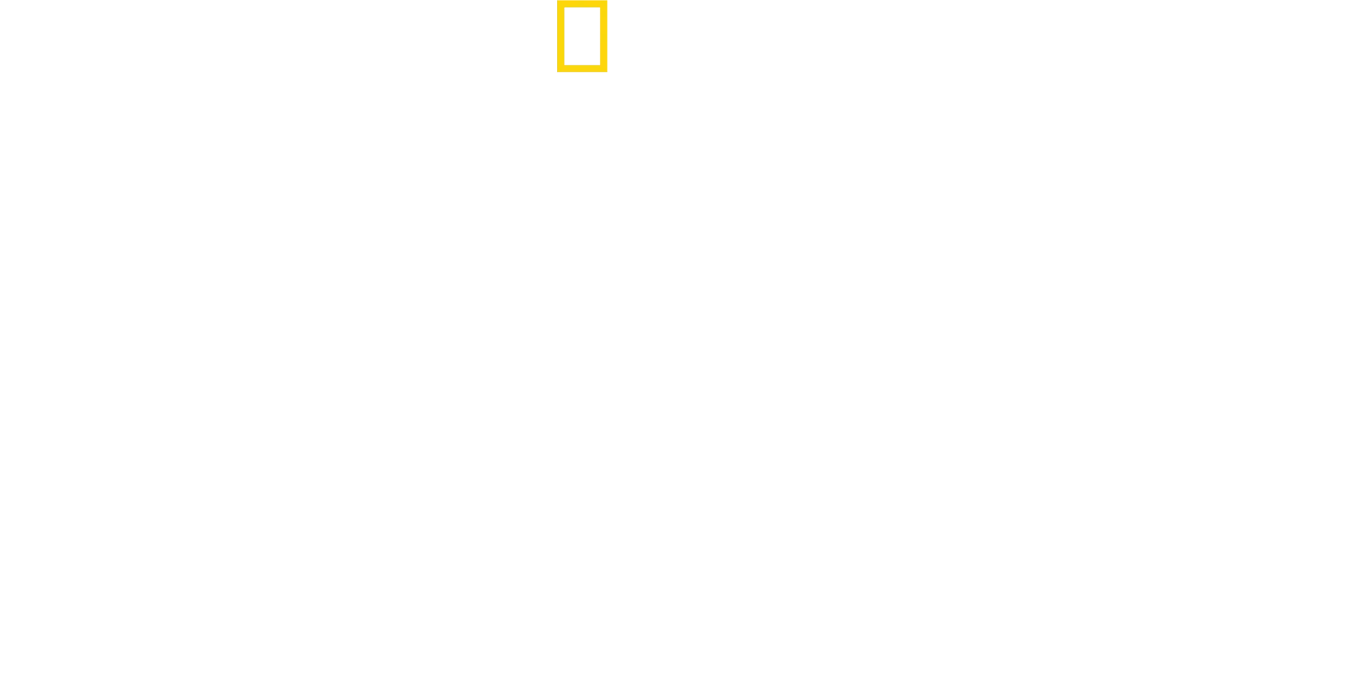 David Blaine: Taikuuden takana