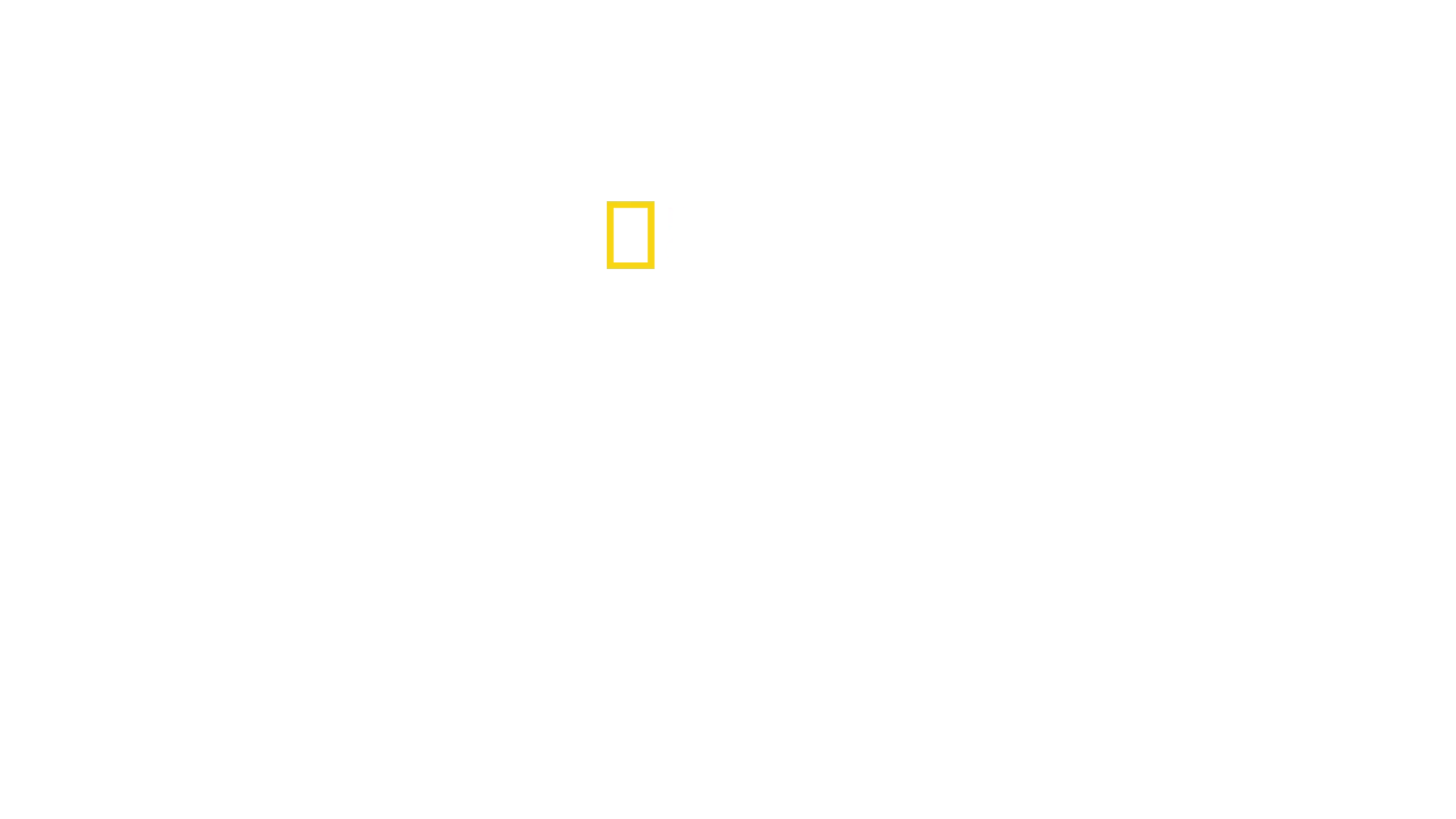 Ezt ne próbáld ki! - Halálos mutatványok David Blaine-nel