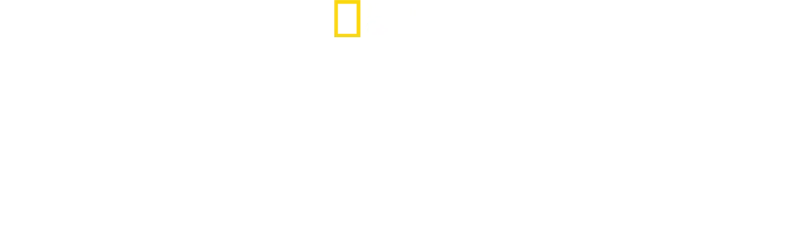 Ezt ne próbáld ki! - Halálos mutatványok David Blaine-nel