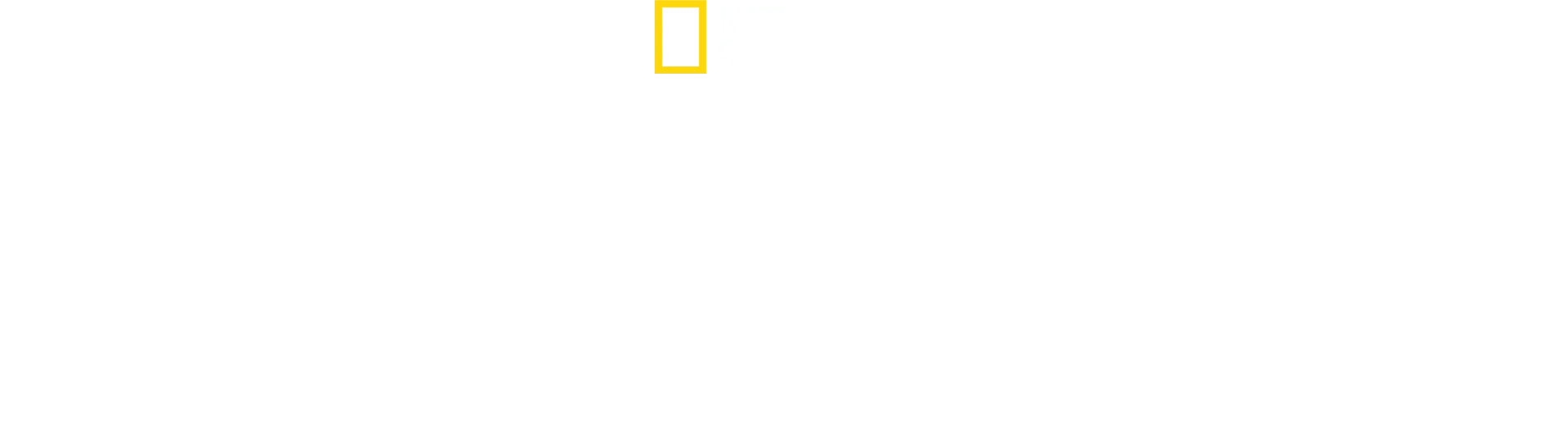 Ezt ne próbáld ki! - Halálos mutatványok David Blaine-nel