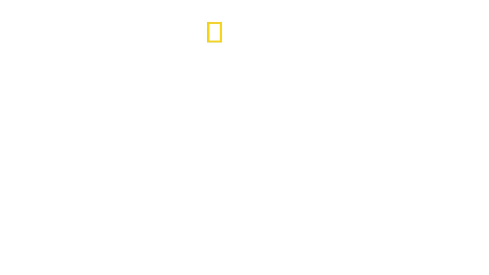 Ντέιβιντ Μπλέιν: Μην το Επιχειρήσετε
