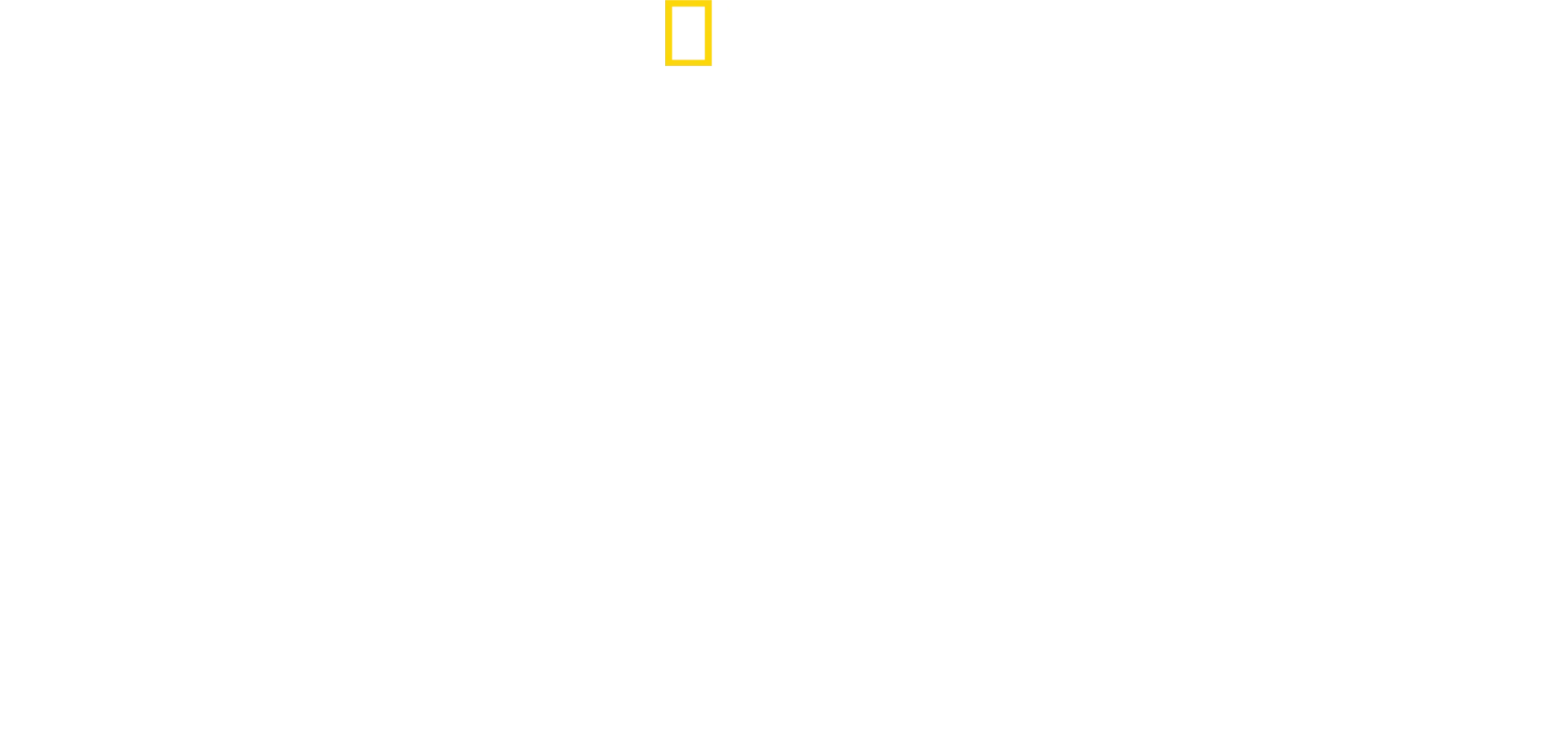 Ντέιβιντ Μπλέιν: Μην το Επιχειρήσετε