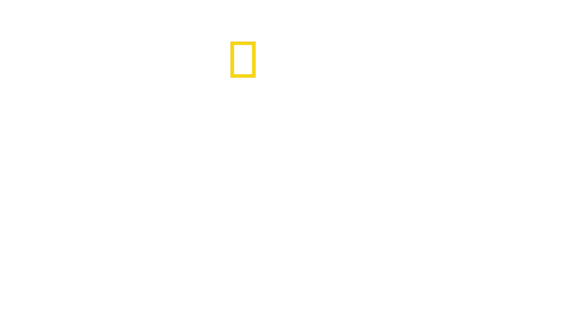 David Blaine: La magia de lo inesperado