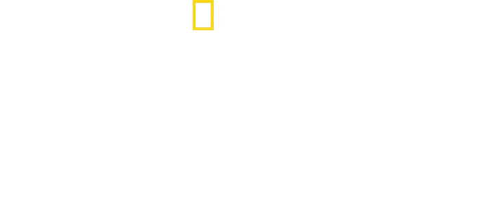 David Blaine: La magia de lo inesperado