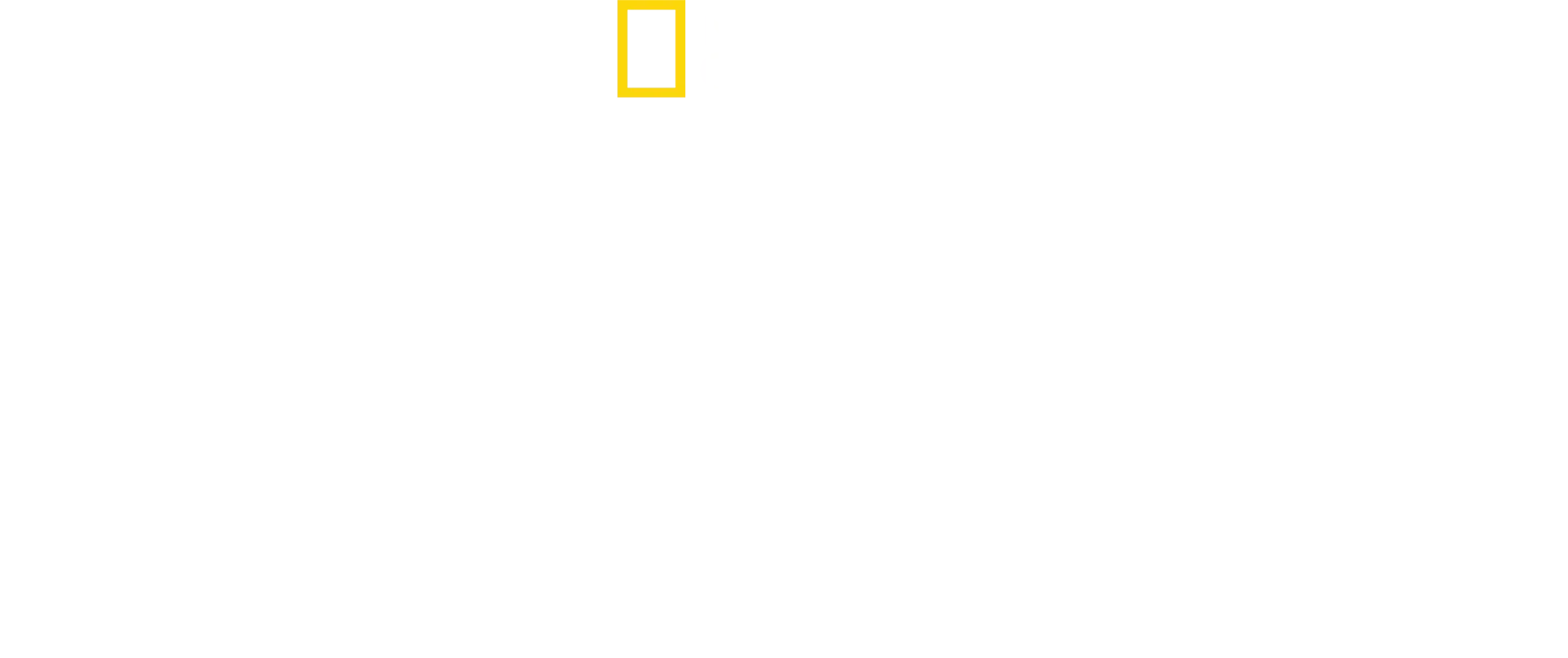 David Blaine: La magia de lo inesperado