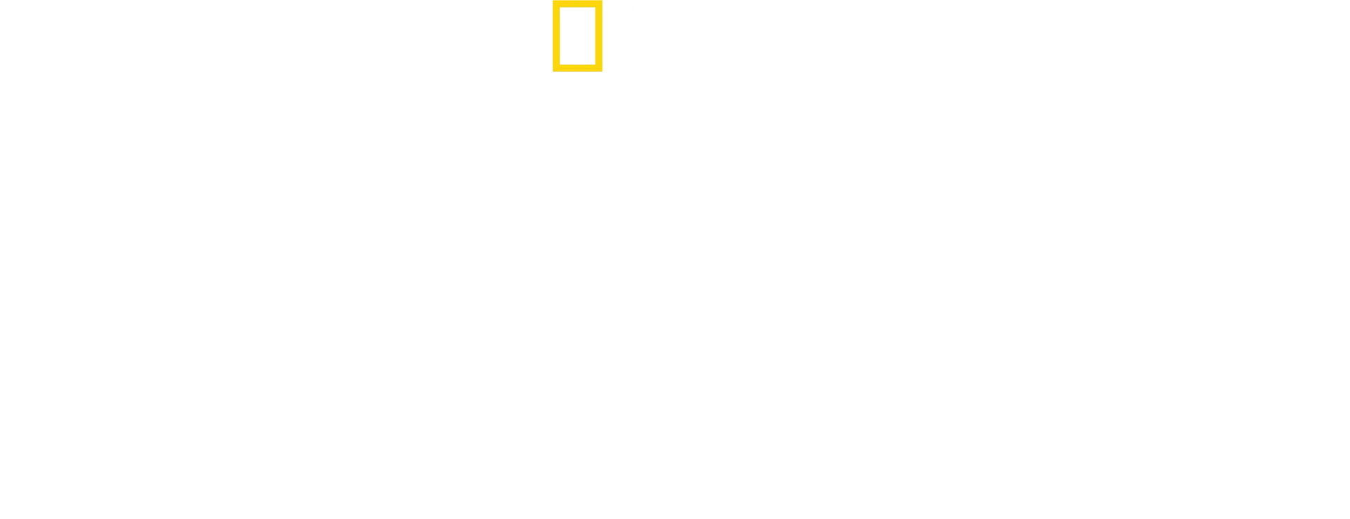 David Blaine : Aux frontières de l’impossible