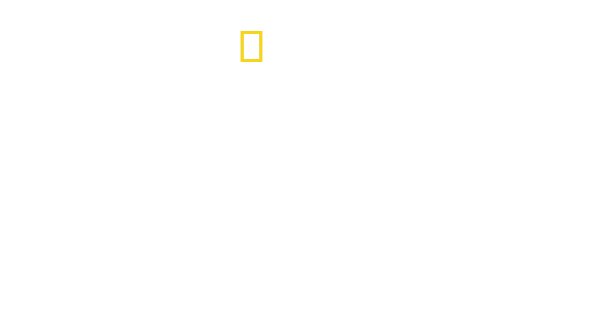 David Blaine: Non fatelo a casa