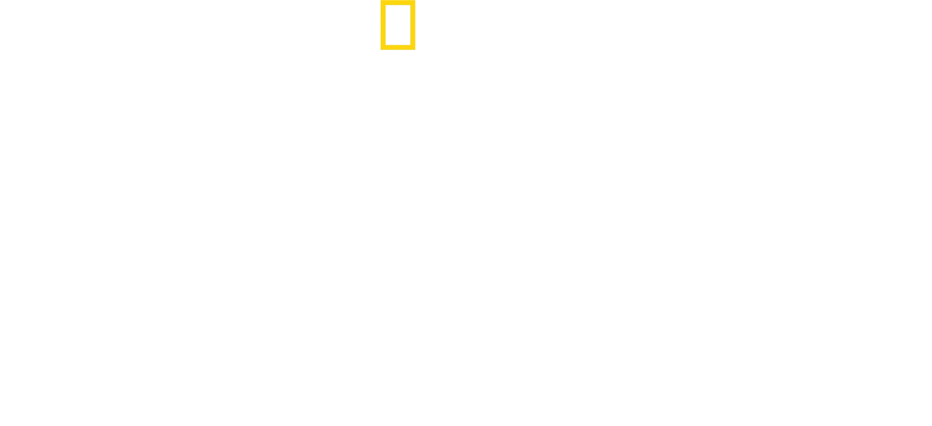 David Blaine: Non fatelo a casa