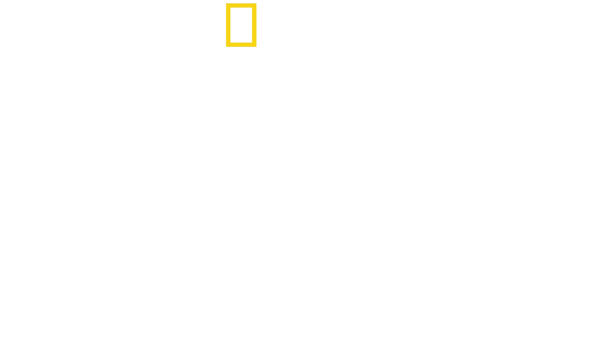 奇術師デビッドが挑戦！世界の超過激パフォーマンス