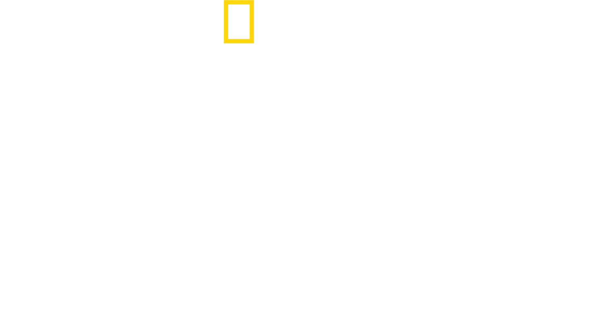奇術師デビッドが挑戦！世界の超過激パフォーマンス