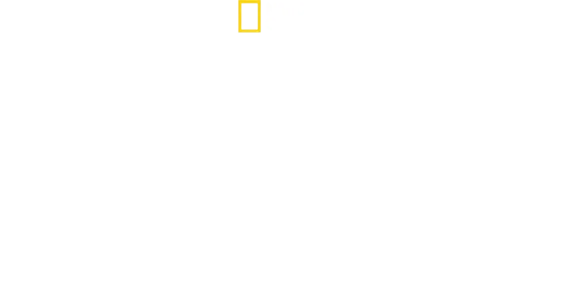 David Blaine: świat pełen wyzwań