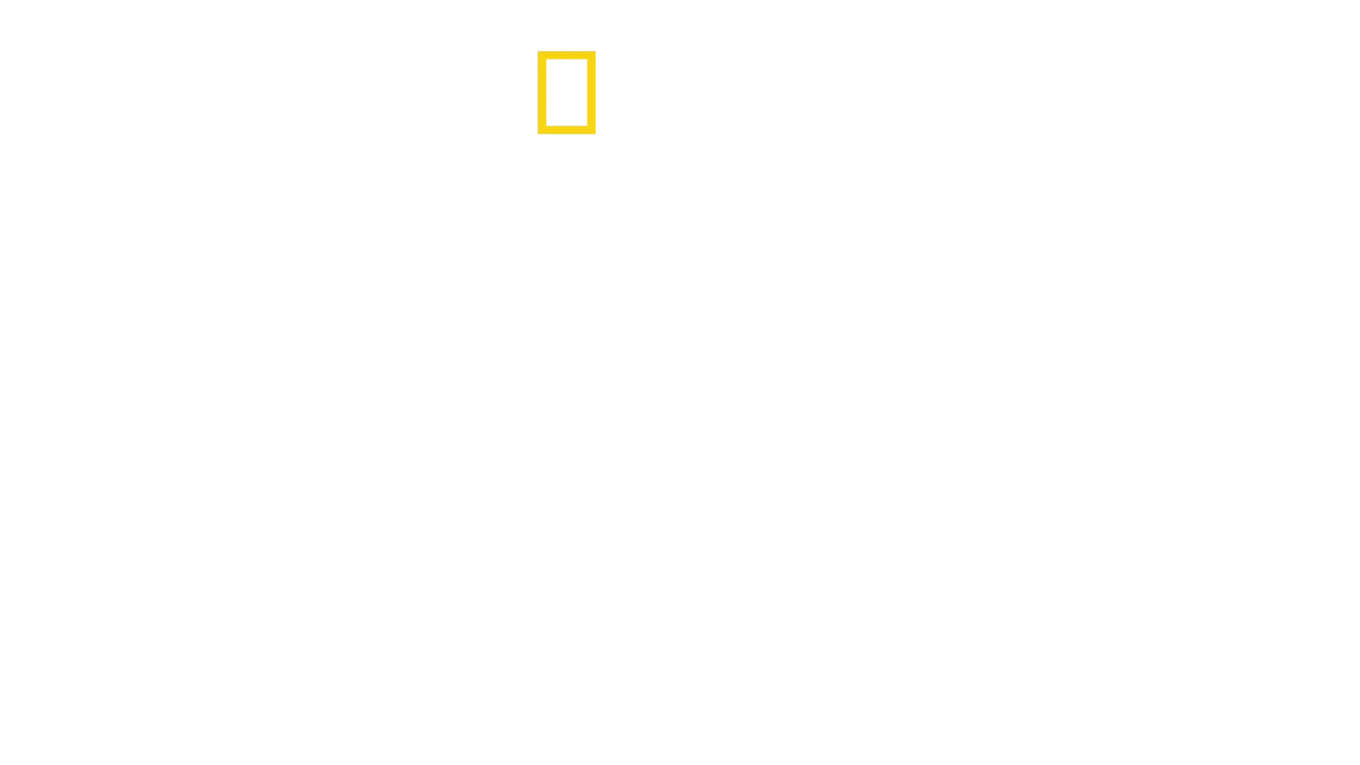 David Blaine: Magia Inesperada