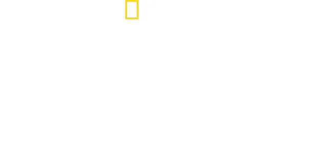David Blaine: Magia Inesperada