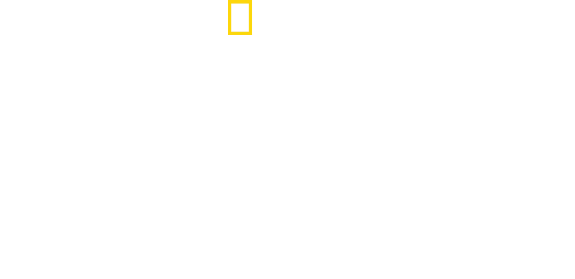 David Blaine: Magia Inesperada