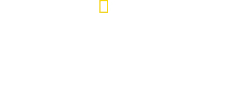 David Blaine: Não experimente isto em Casa