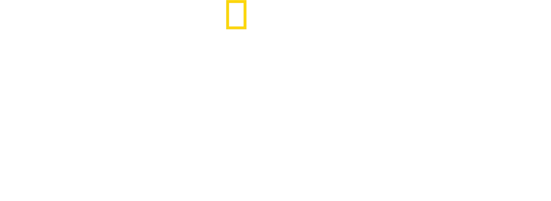 David Blaine: Não experimente isto em Casa