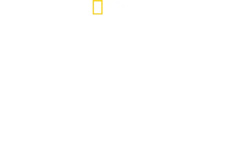 David Blaine: Culisele magiei