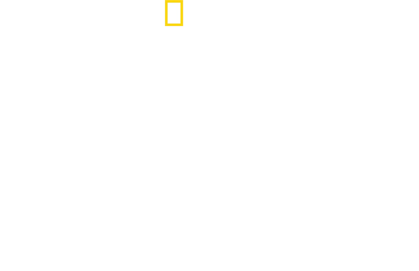 David Blaine: Culisele magiei