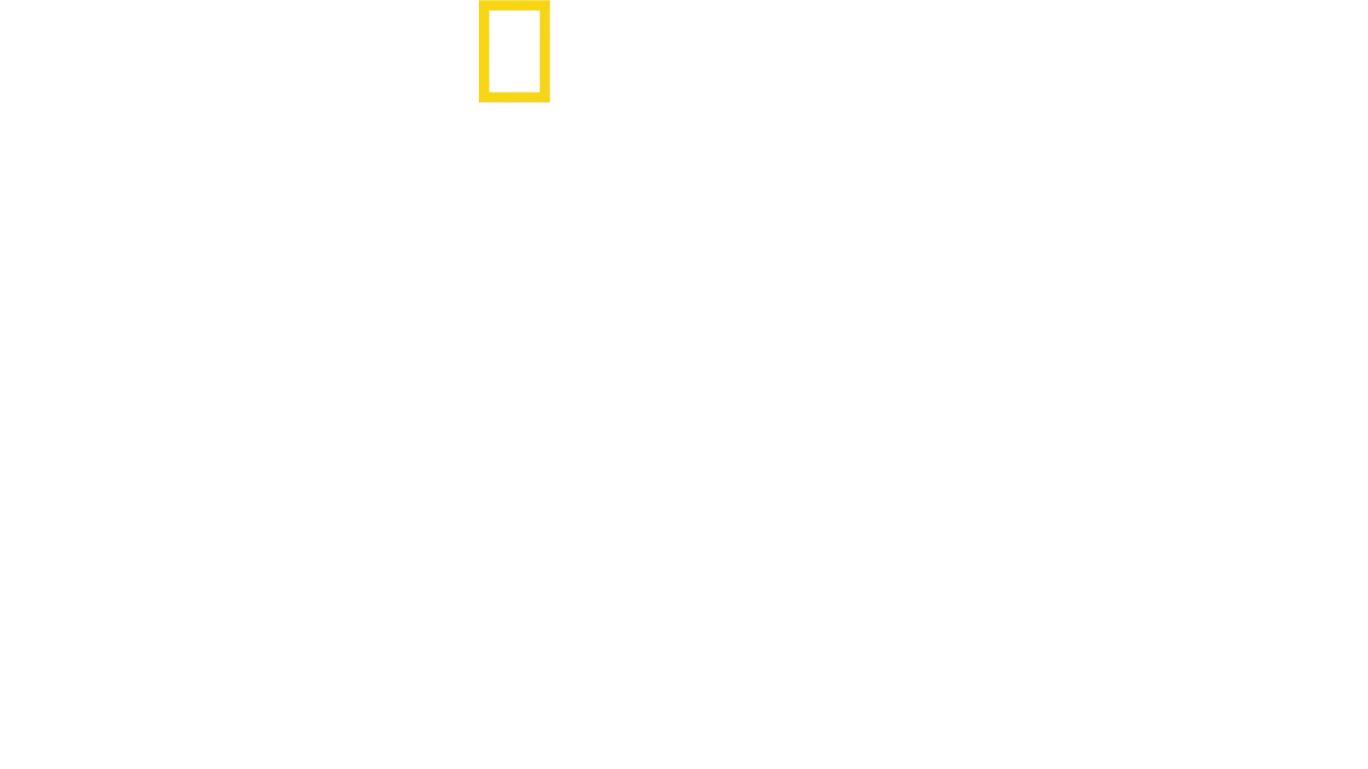 David Blaine ile Bunu Evde Denemeyin