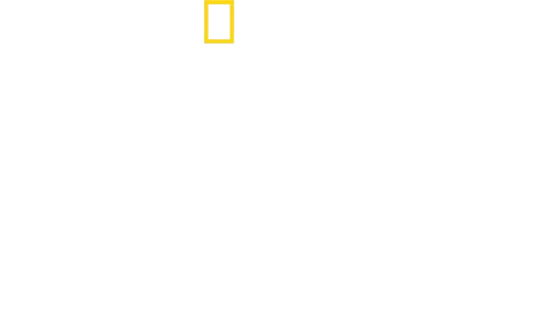David Blaine ile Bunu Evde Denemeyin