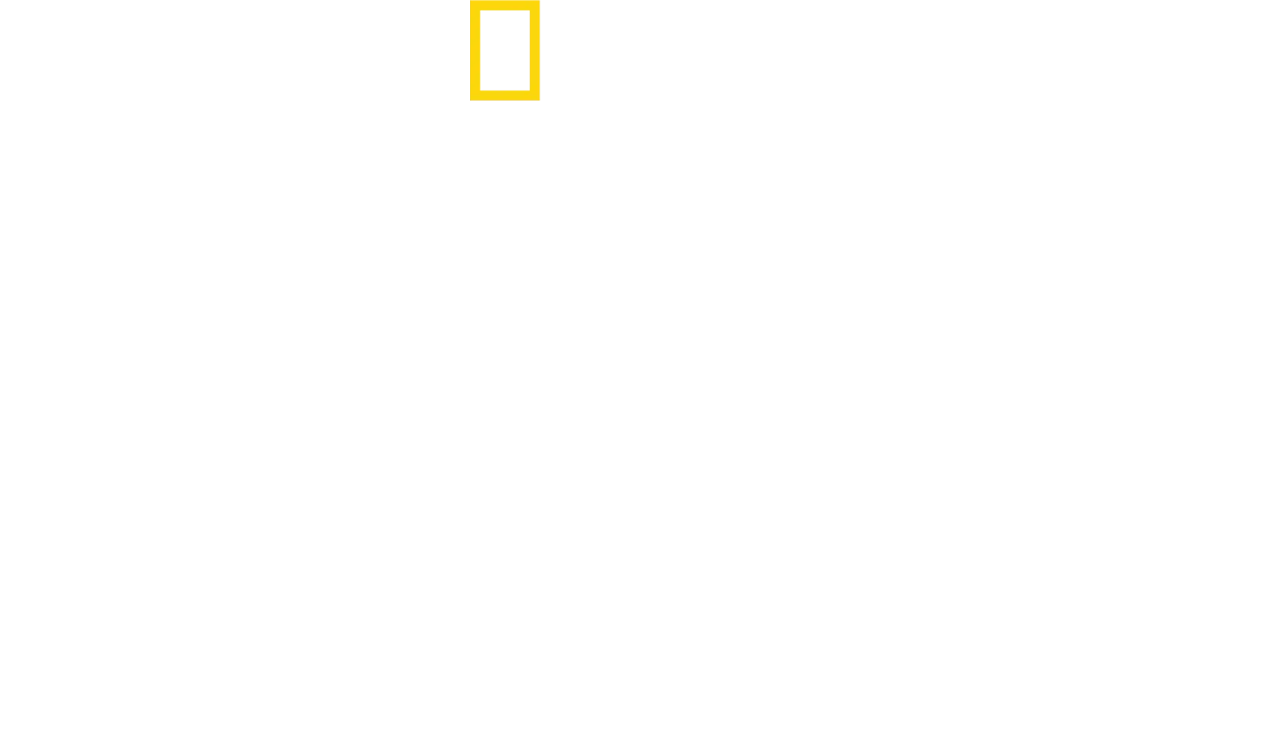 David Blaine ile Bunu Evde Denemeyin