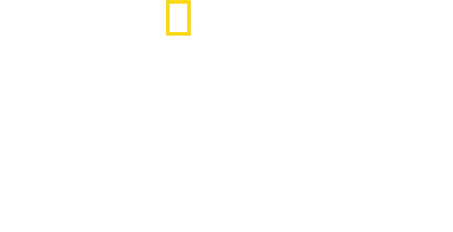 魔術師大衛：請勿嘗試