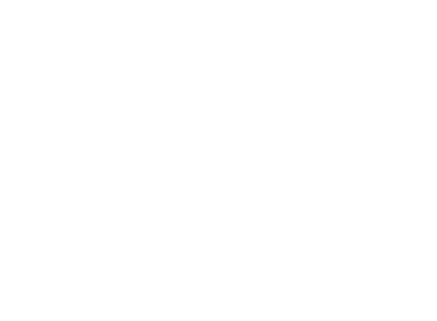 The Stolen Girl