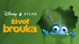 thumbnail - Život brouka