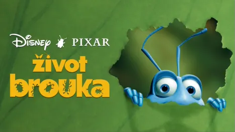 thumbnail - Život brouka