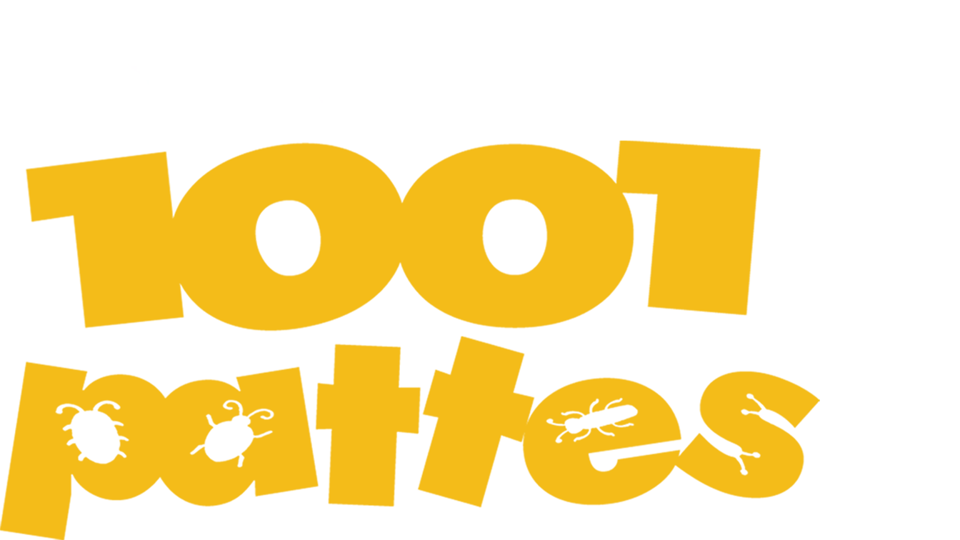 1001 pattes