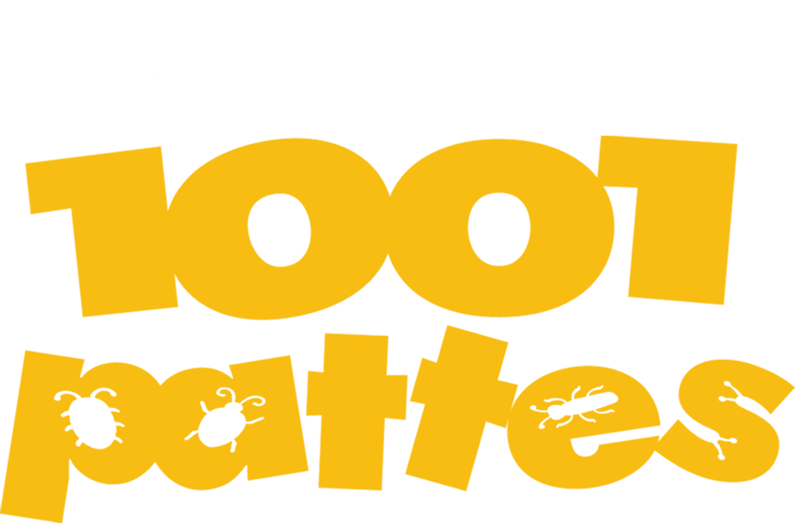 1001 pattes