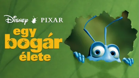 thumbnail - Egy bogár élete