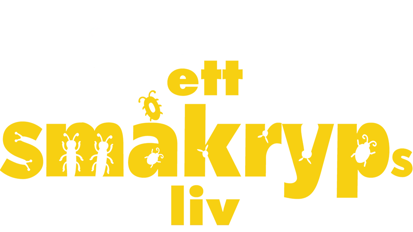Ett småkryps liv