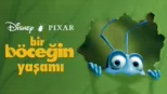 thumbnail - Bir Böceğin Yaşamı