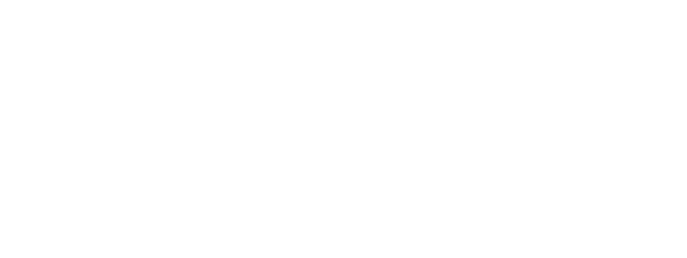 Nemoa etsimässä