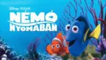 thumbnail - Némó nyomában
