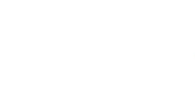 À Procura de Nemo