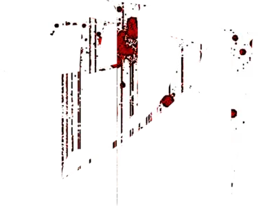 귀시