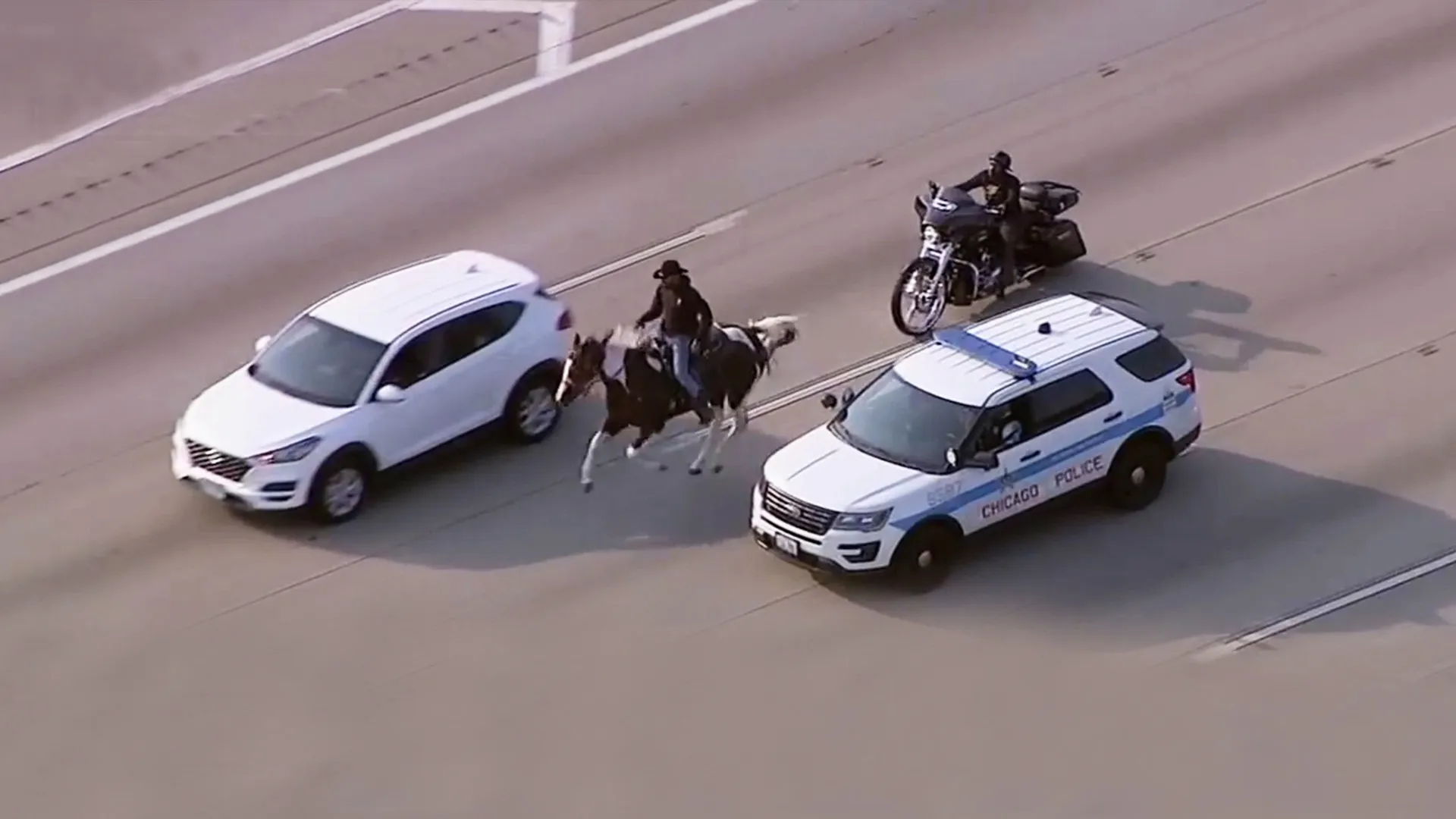 thumbnail - S2:E3 Horse on the Highway