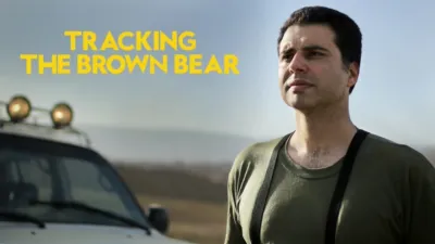 Tracking the Brown Bear